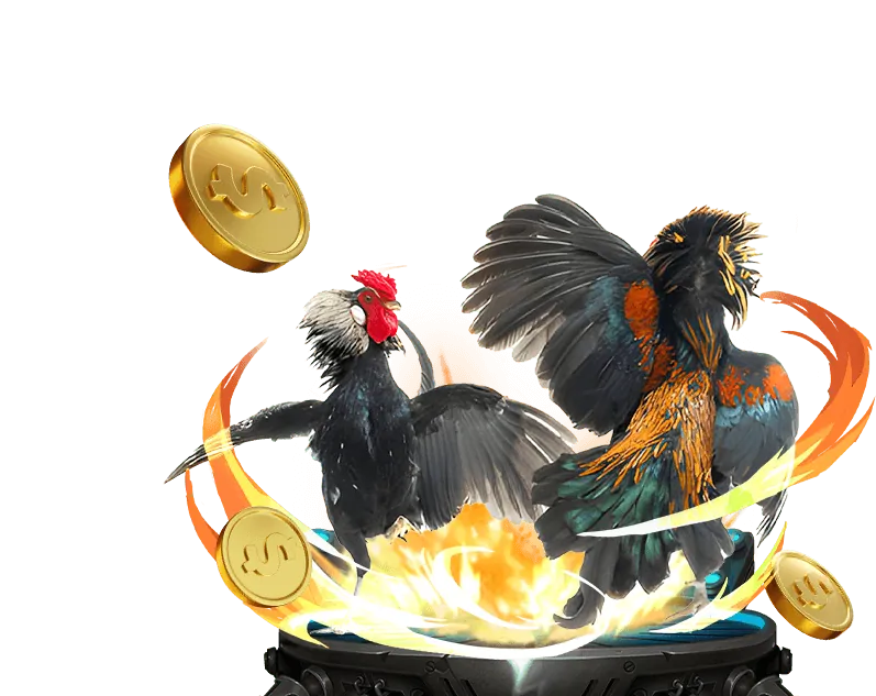 Cá cược Thể Thao Trực tuyến Win55